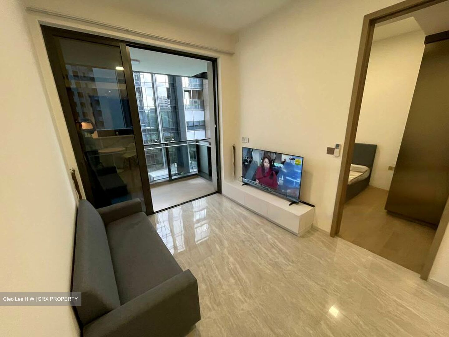 Leedon Green (D10), Condominium #461727211